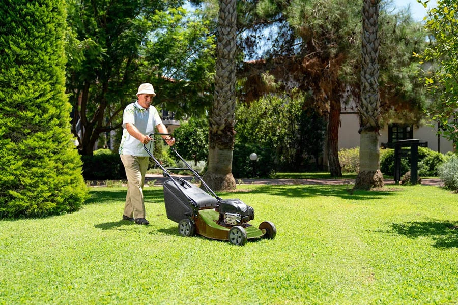 self-propelled electric lawn mower